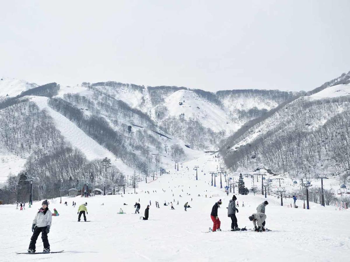 Hakuba Park Hotel Eksteriør billede